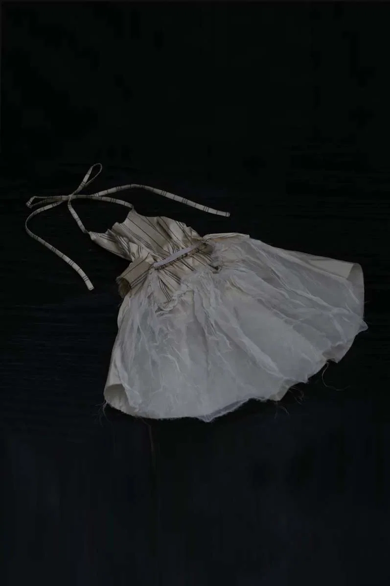 A Tentative Atelier a2121136a Cat Organza Dress - Image 3