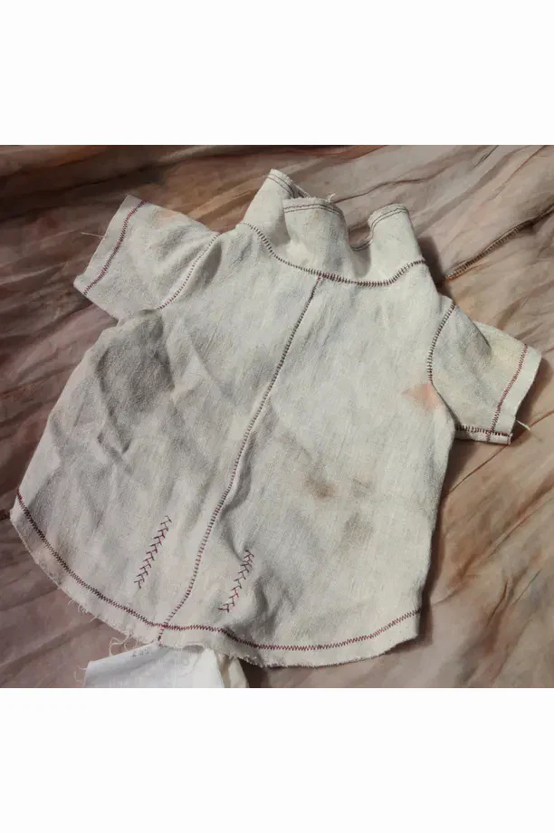 pengtai cat clothes hand dyed PT-S20251-MIBAI PPT94
