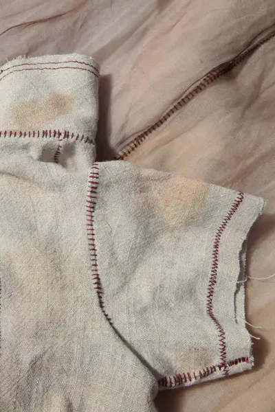 pengtai cat clothes hand dyed PT-S20251-MIBAI PPT94 - Image 4