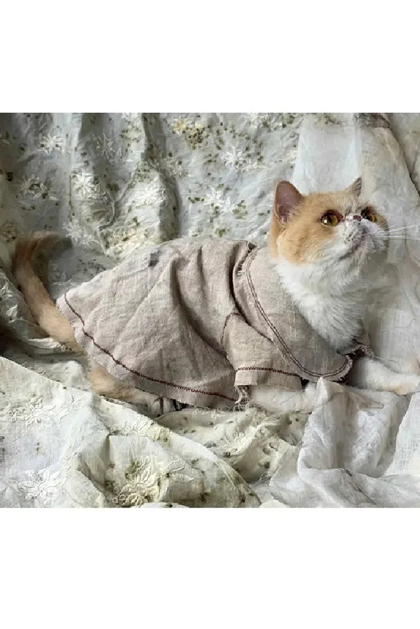 pengtai cat clothes hand dyed PT-S20251-MIBAI PPT94 - Image 7