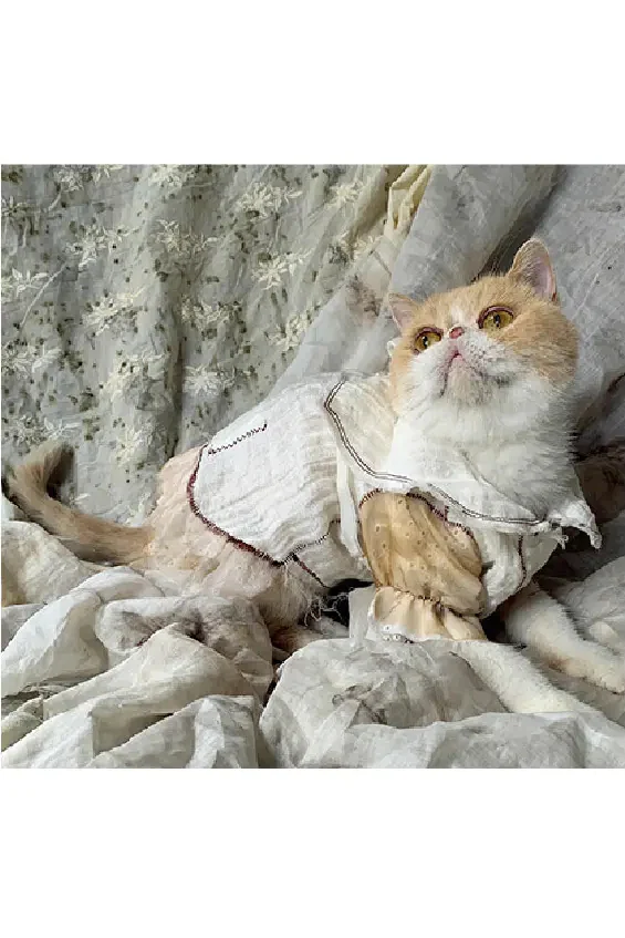 pengtai lapel cat cat suit white S20263 - Image 7
